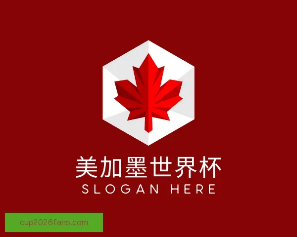 了解美加墨世界杯